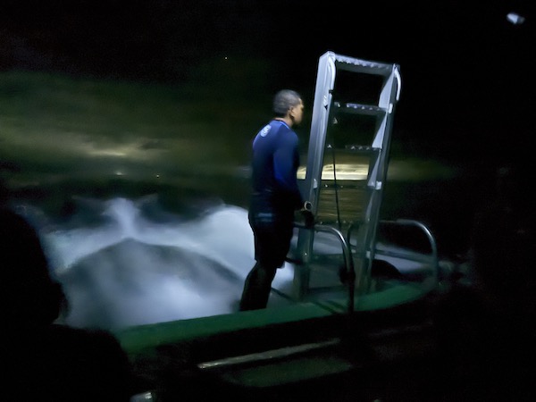 The night dive