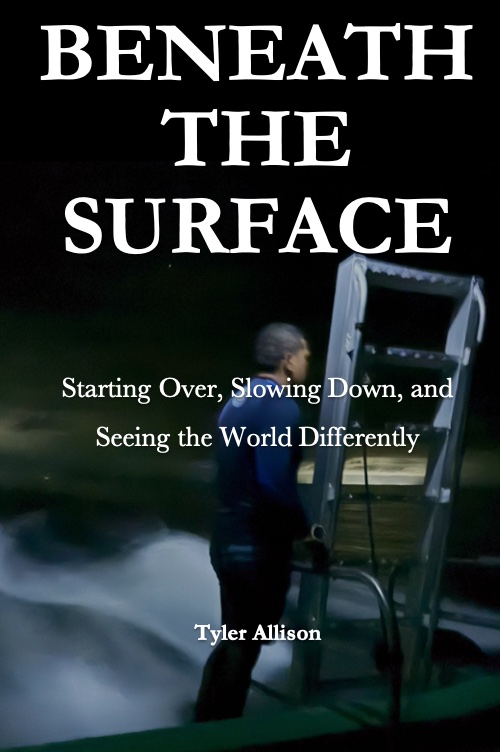 Beneath the Surface book cover