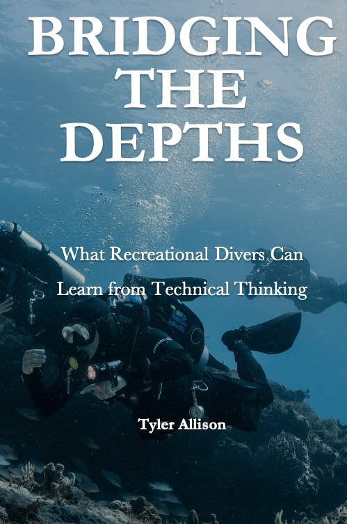 Bridging the Depths book cover