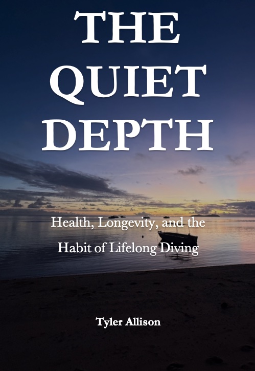 The Quiet Depth book cover