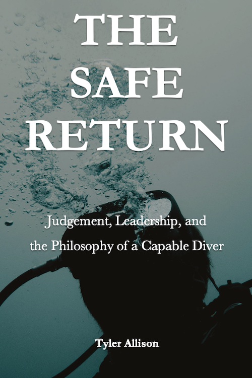 The Safe Return  book cover