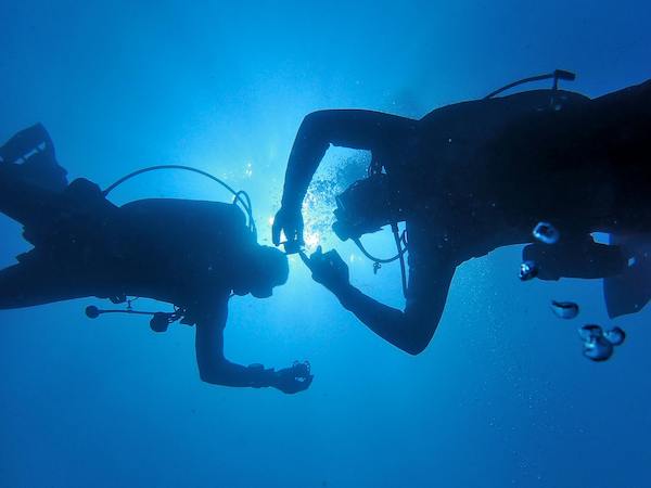 two divers ascending