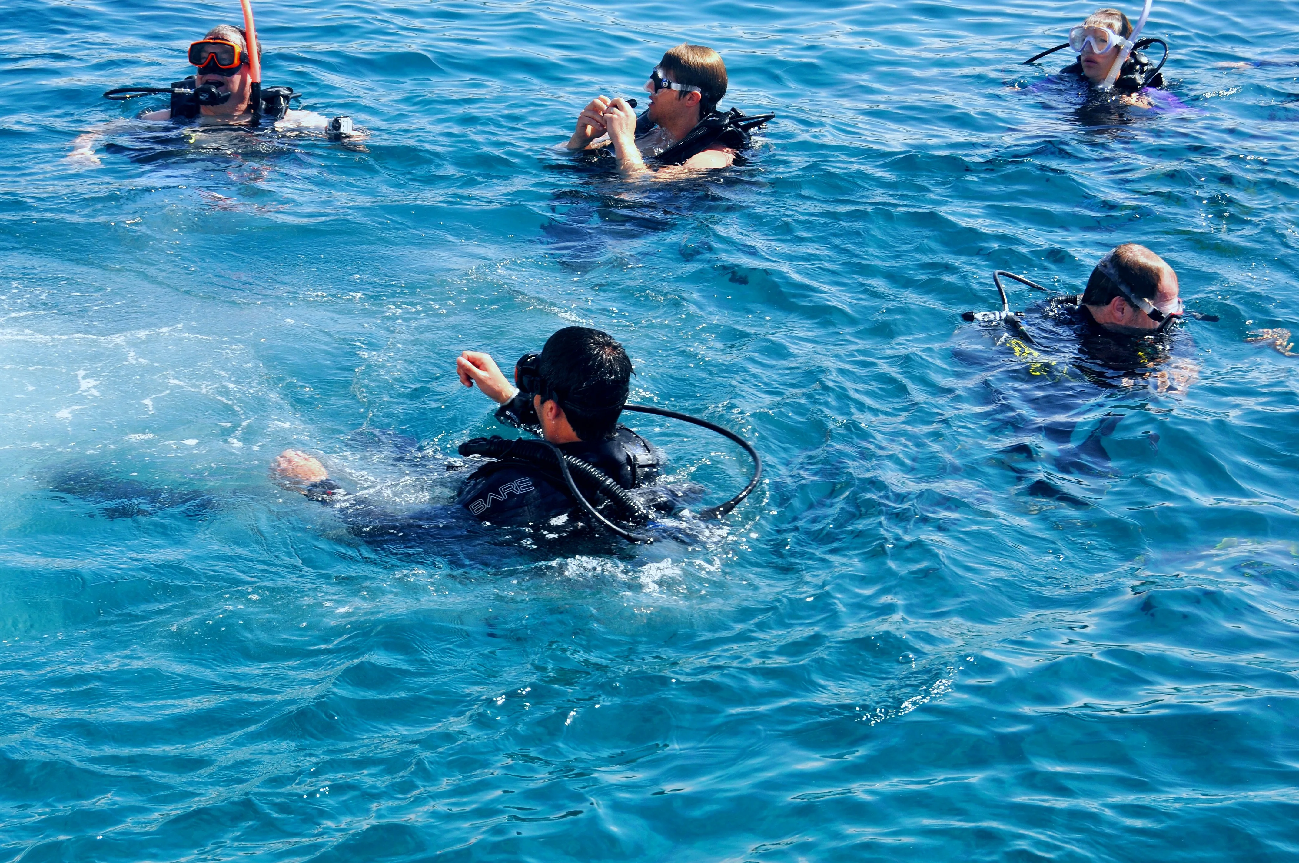 A group of scuba divers gathers at the ocean surface