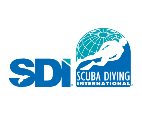 SDI Logo