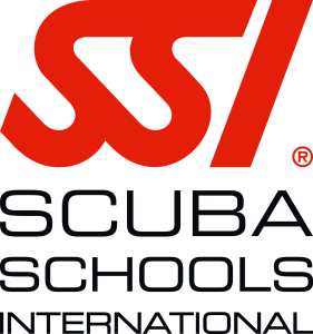 SSI Logo