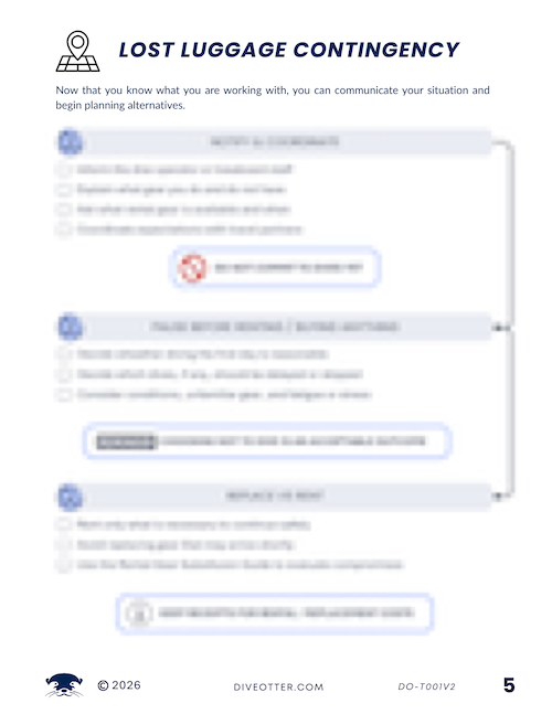 Lost Luggage Contingency - Page 2